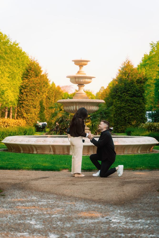 Proposal beside a fountain